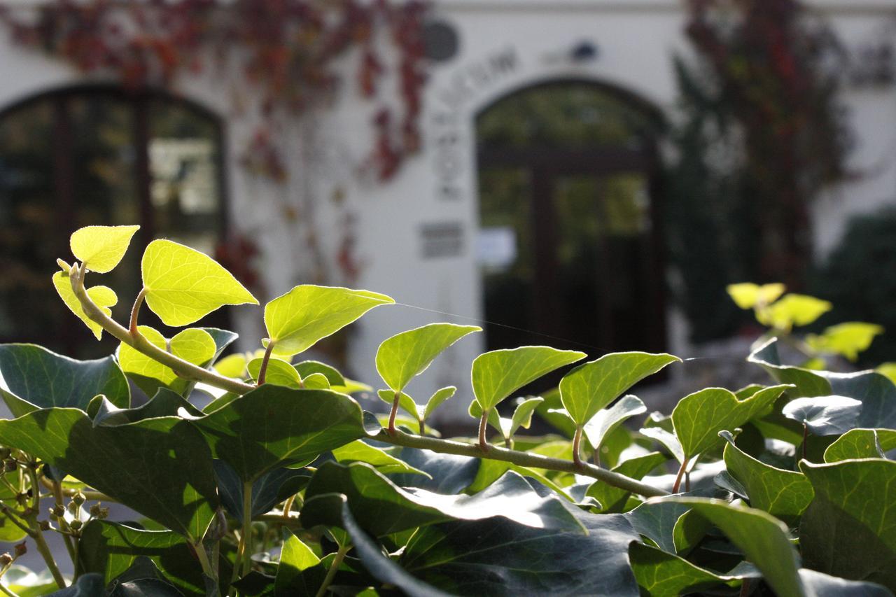 The Zen Hotel - Posticum Oradea Eksteriør billede